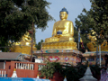Die goldene Buddhastatue in Kathmandu